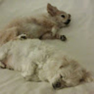 Meet your Posher, Jacqueline